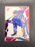 Sportzoo Fabrice Herzog EV Zug EVZ
