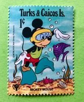 BRIEFMARKEN AUS Turks- und Caicosinseln Internationales Jahr