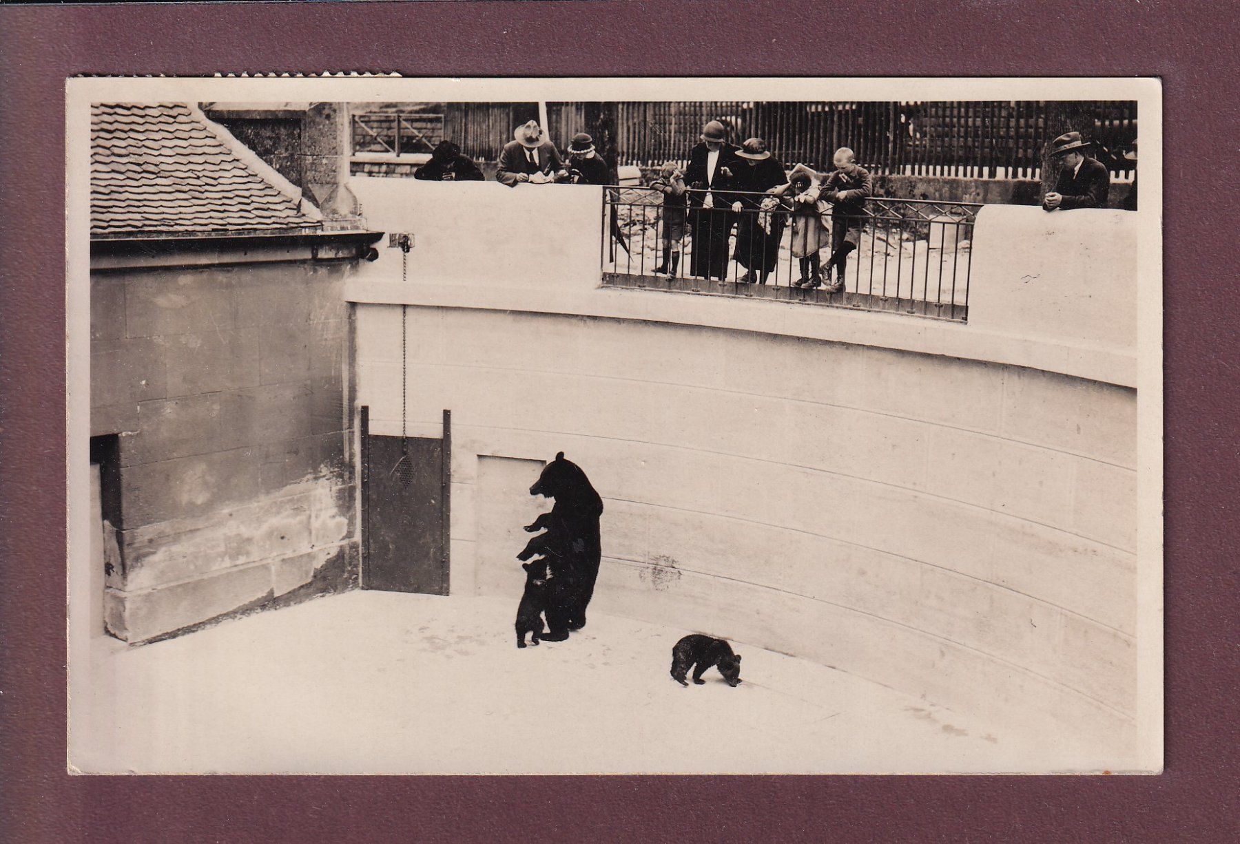 Cartoline postali: BERN - Bärengraben - 1937 Photo – Usato da Pully venduto da nicecards