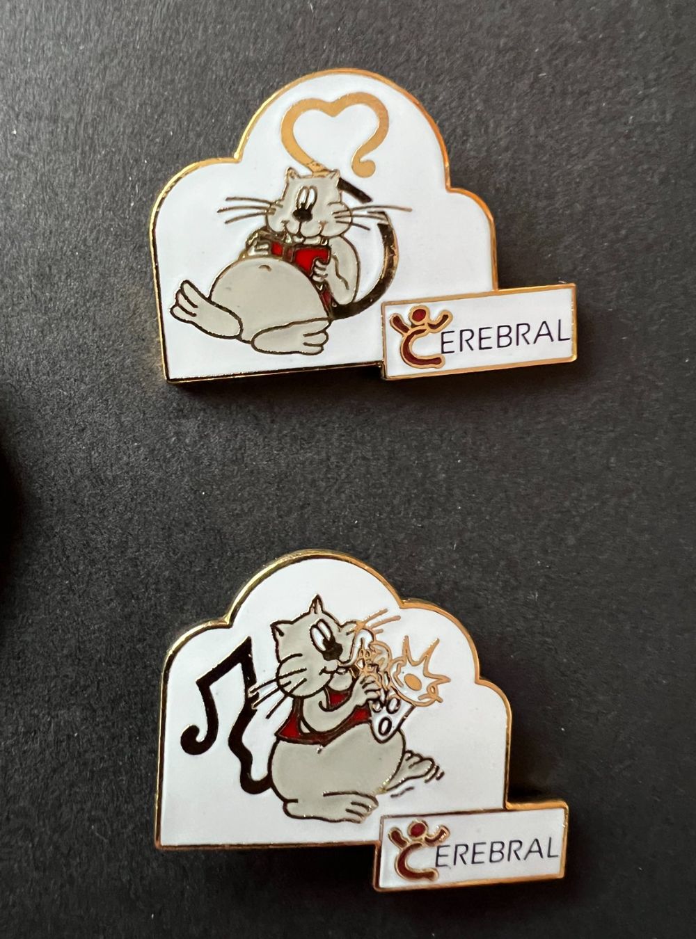 Placchette & Badge: Ansteck-Pins "CEREBRAL" 5er Set.Neu – Nuovo e nell'imballaggio originale da Winterthur venduto da Green-Future 3