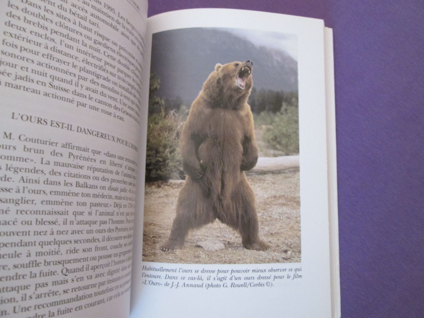 Libri: Le grand retour de l'ours – Usato da Neuchâtel venduto da Dualseele 7