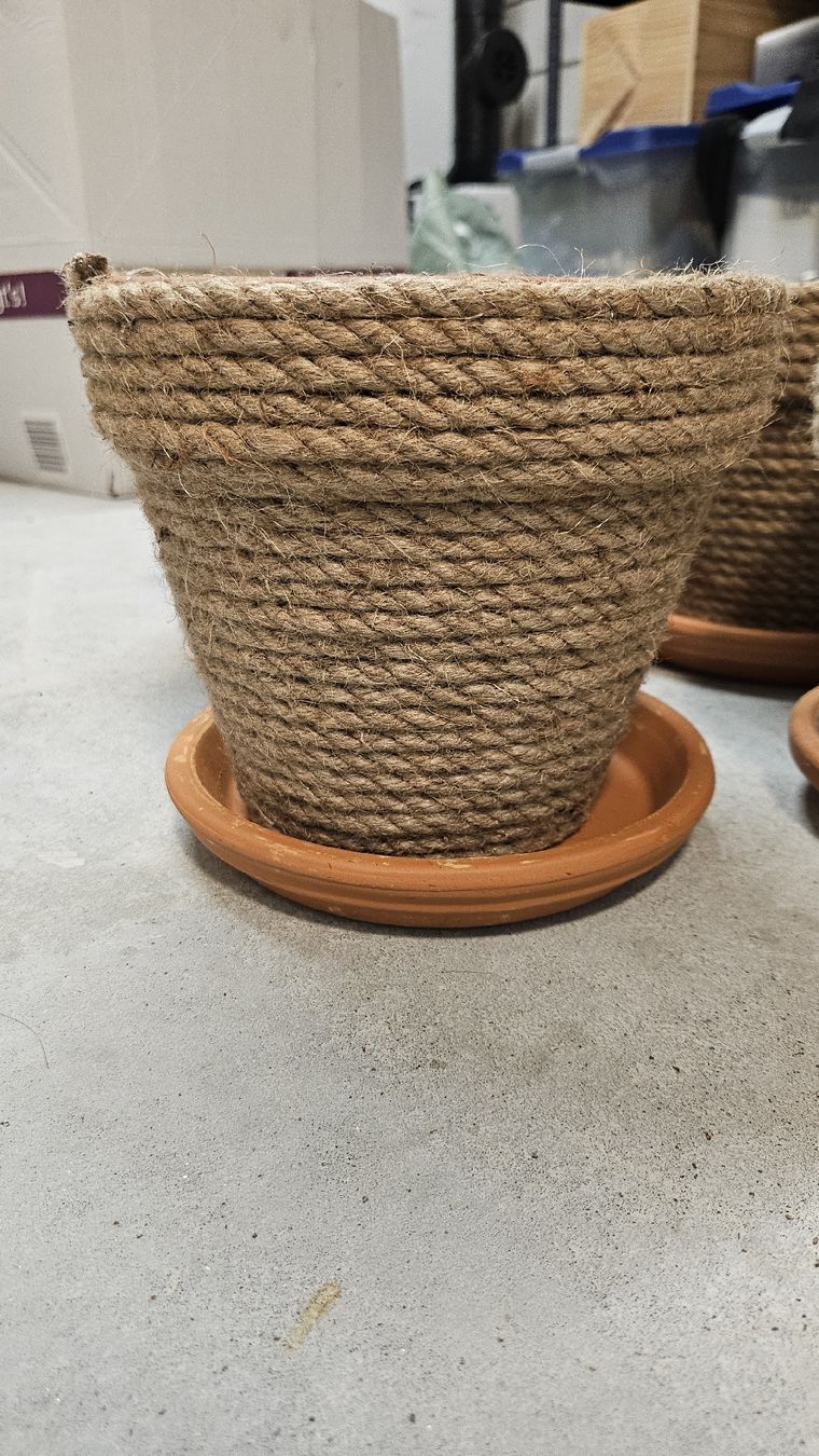 Lambert Pots de fleurs: Blumentöpfe – D'occasion à Buchs SG par Tscherfi