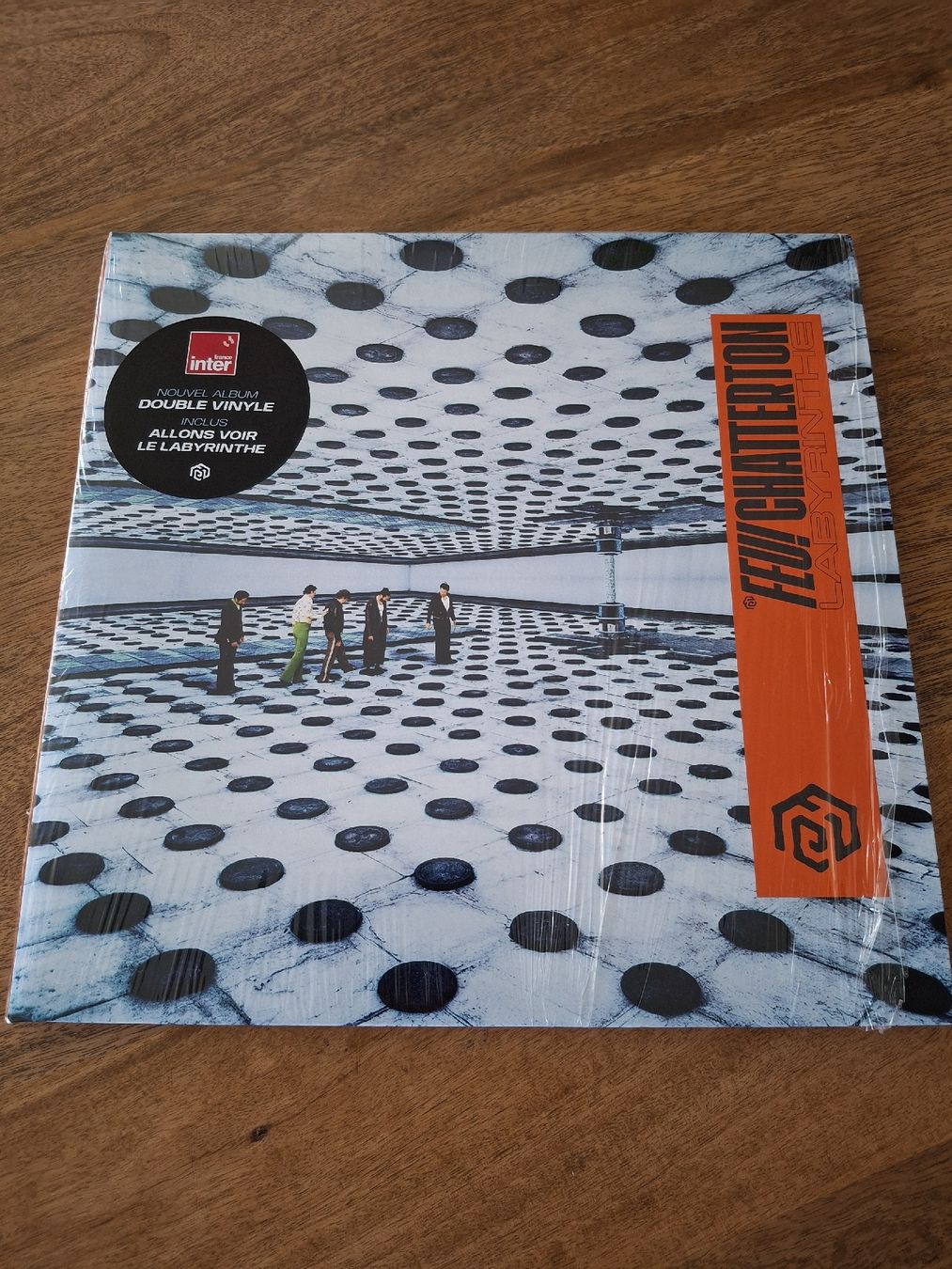 Dischi in vinile: Feu! Chatterton - Labyrinthe- LP – Usato da LAUSANNE venduto da DESH3