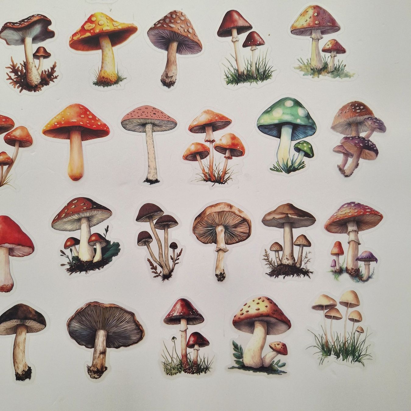 Sticker: 50 Aufkleber Sticker - Pilze – Nuovo e nell'imballaggio originale da Basel venduto da Kunterbunt12 4