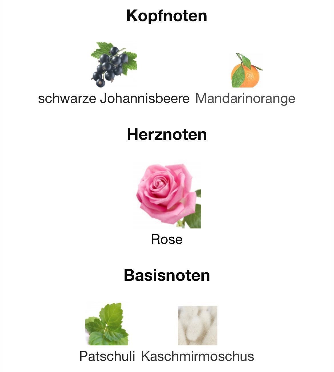 Profumi & Eau de Toilette: MILLER HARRIS Rose Silence 5 ml Abfüllung – Nuovo (secondo la descrizione) da St. Gallen venduto da lfs_nxl8 3