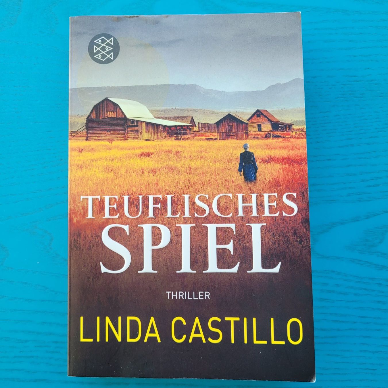 Libri: Linda Castillo- Teuflisches Spiel – Usato da SCHÜBELBACH venduto da CoKaHa