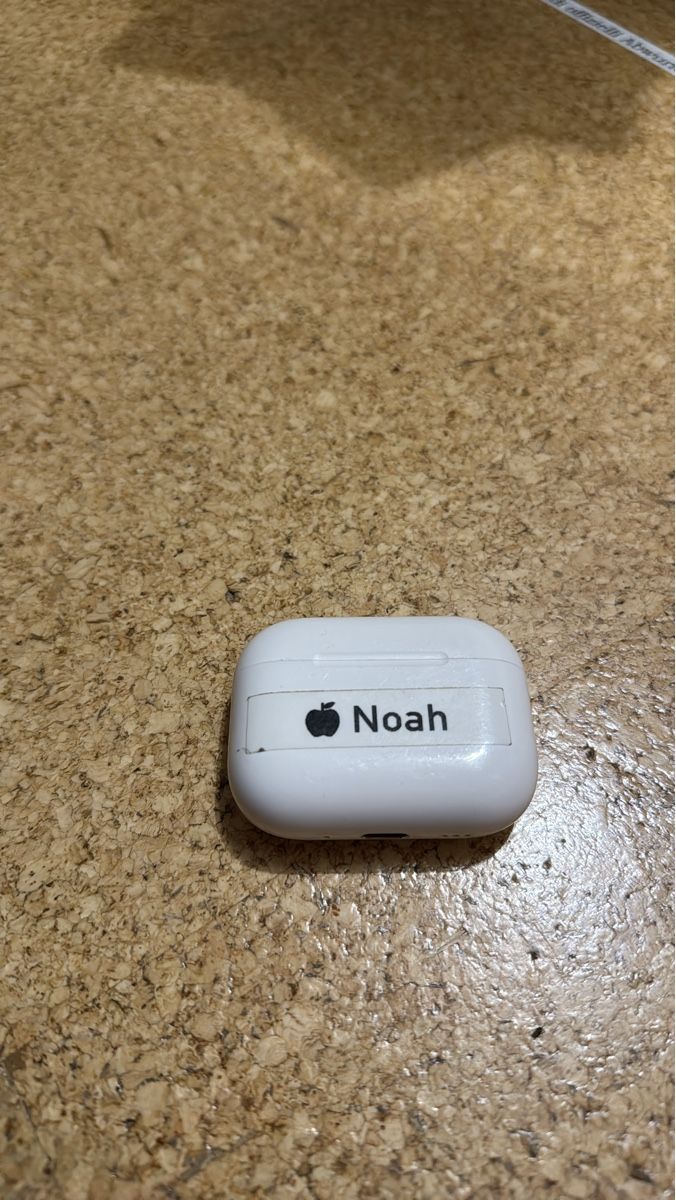 Apple Cuffie: Apple Air Pods Pro – Usato da Madiswil venduto da Noahx3m