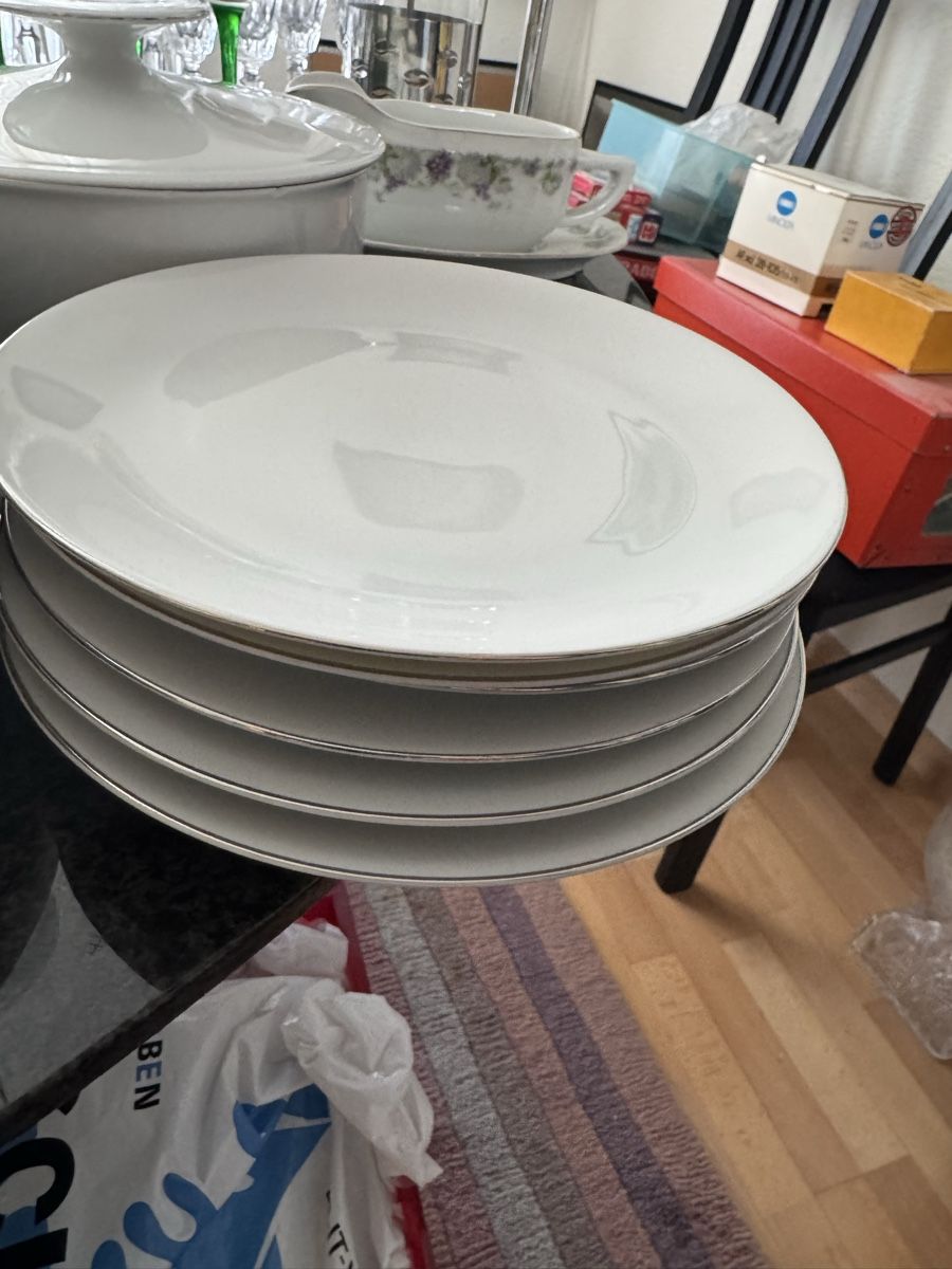 Set di piatti: Porzellanset schlicht mit Silberrand – Usato da Aesch BL venduto da Bia1 1