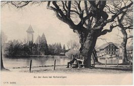 BE 97 An der Aare bei Scherzligen CPN No. 5192