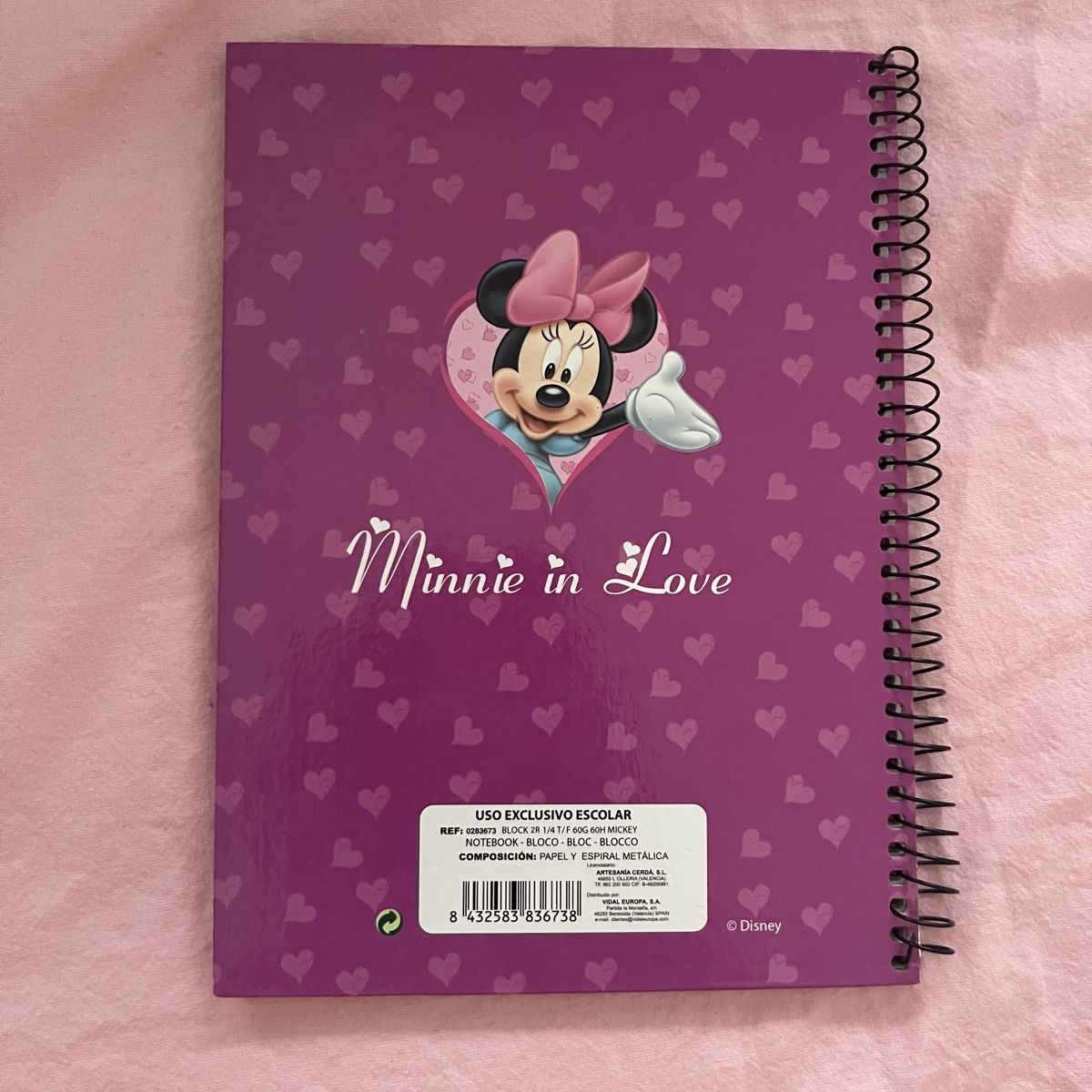 Blocchi: Cahier Disney Minnie Mouse – Usato da Le Grand-Saconnex venduto da Koko.hime_ 1