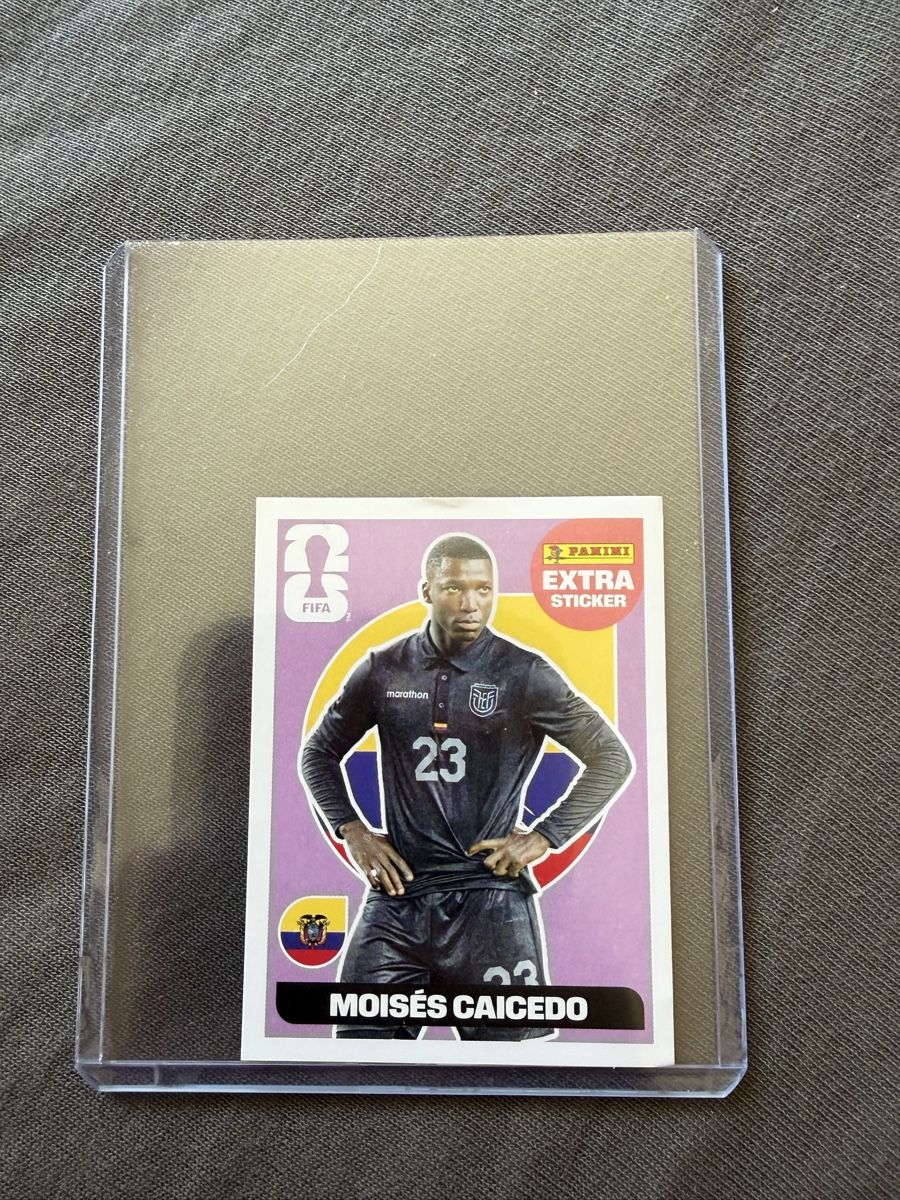Panini Carte collezionabili: PANINI Moises Caicedo Extra Sticker Base – Nuovo (secondo la descrizione) da Rekingen AG venduto da marcinho32 1