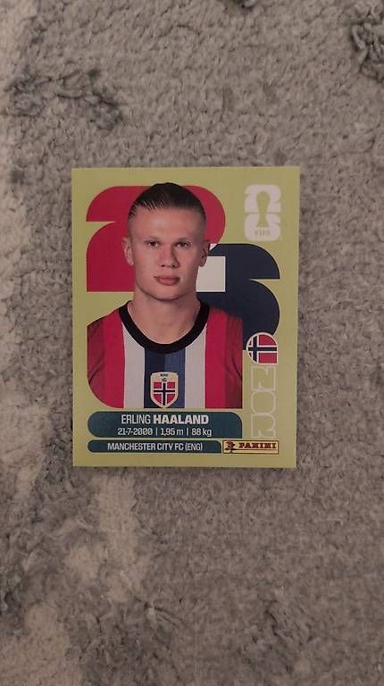 Panini Carte collezionabili: Haaland Panini FIFA WM 2026 – Nuovo (secondo la descrizione) da Reinach BL venduto da yue_9zlz