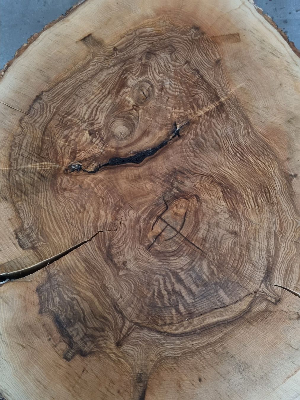 Holzartikel: Esche Baumscheibe Salontisch Baumstammtisch Couchtisch 12cm – Gebraucht aus Rheineck von Dein_Wunschholz