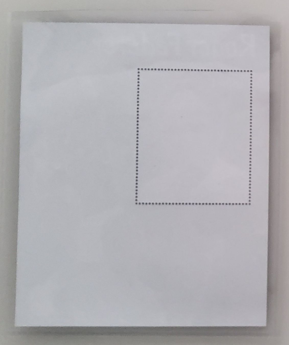 Alle Briefmarken: Roger Federer - 2009 - Block 15 Titel – Neu (gemäss Beschreibung) aus Buchrain von mue_kru 1