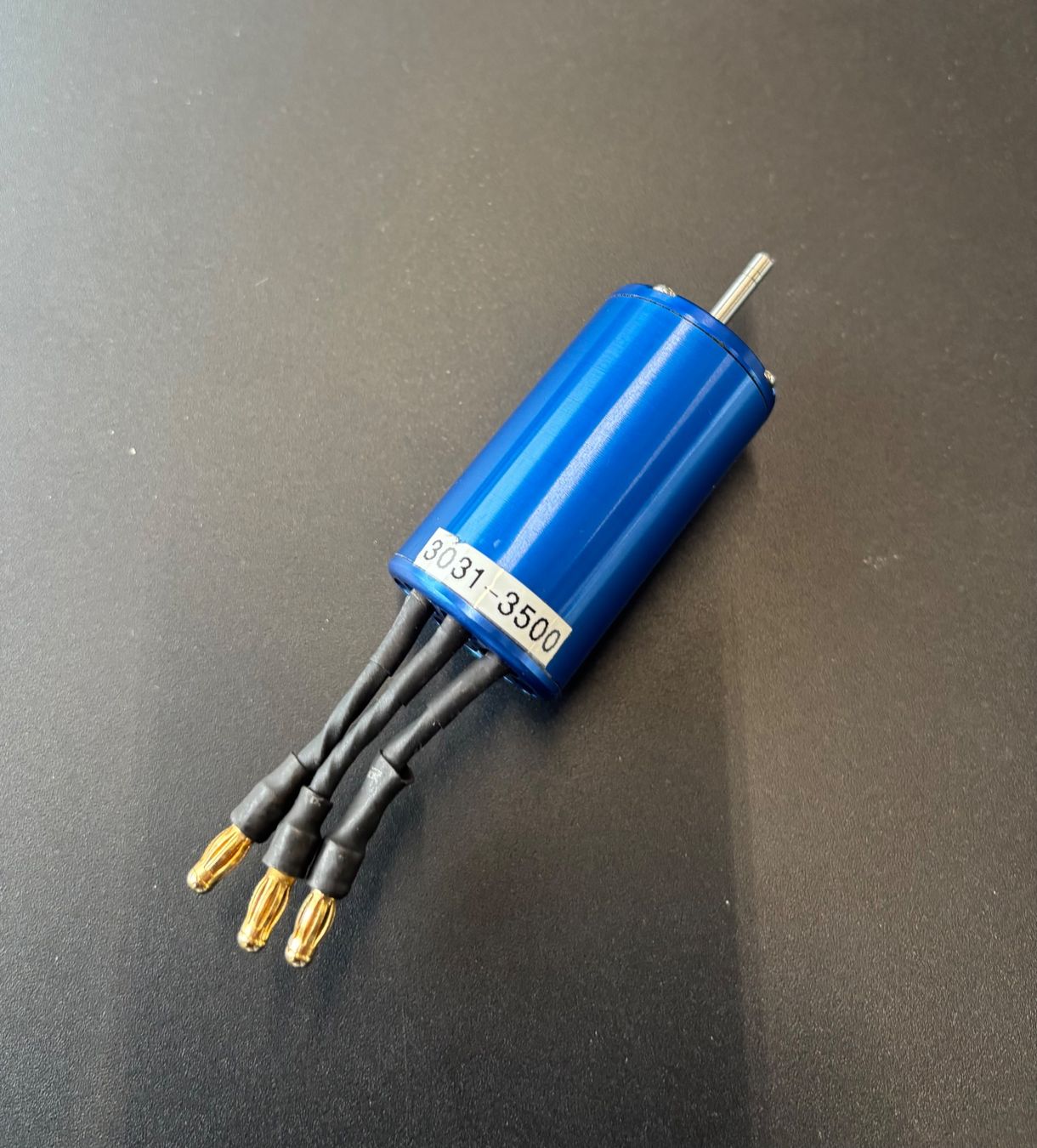 Moteurs: Leomotion BL E-Motor L3031-3500 – D'occasion à Oberwil b. Büren par Kueseschneider 2
