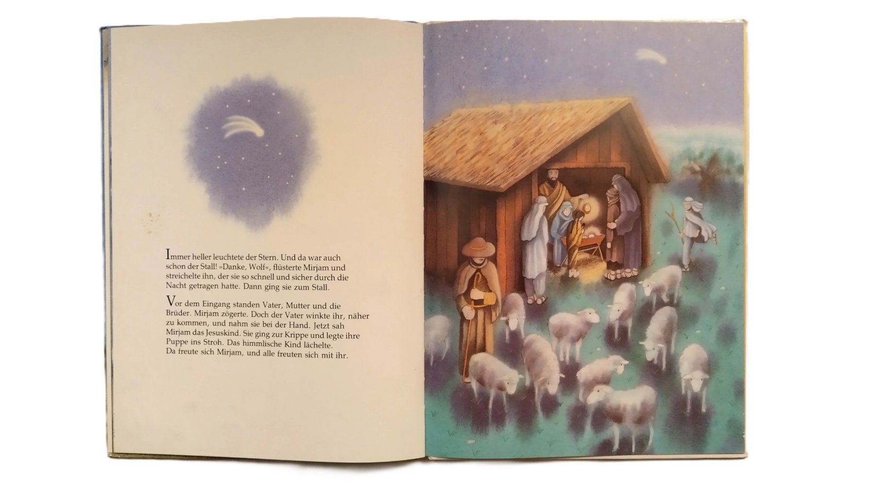 Libri: Mirjams Geschenk - Eine Weihnachtsgeschichte /Marcus Pfister – Usato da Bellach venduto da JingleJerry 8