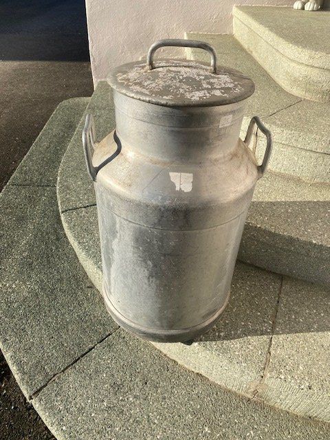 Contenitori & Simili: Milch Kanne Tanse mit Deckel – Usato da Bürglen TG venduto da Nobi99 1