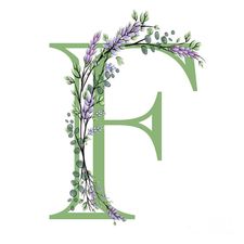 Profile image of -fatos-
