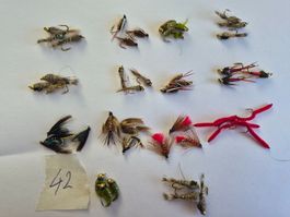 42 Stück Nymphe und Nass Fliege