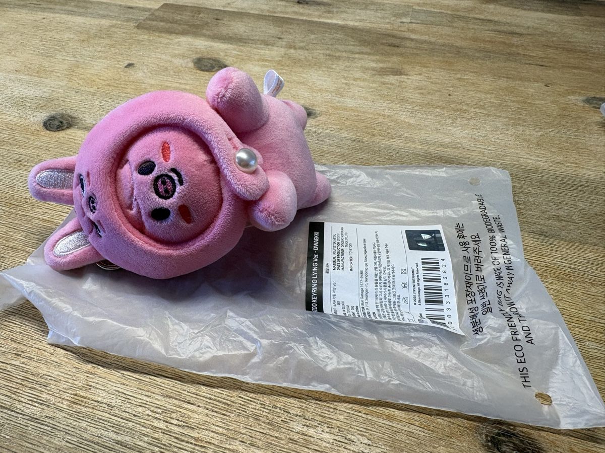 Giocattoli: Skzoo keyring lying ver. Dwaekki – Nuovo (secondo la descrizione) da Therwil venduto da nin_n9zp 1