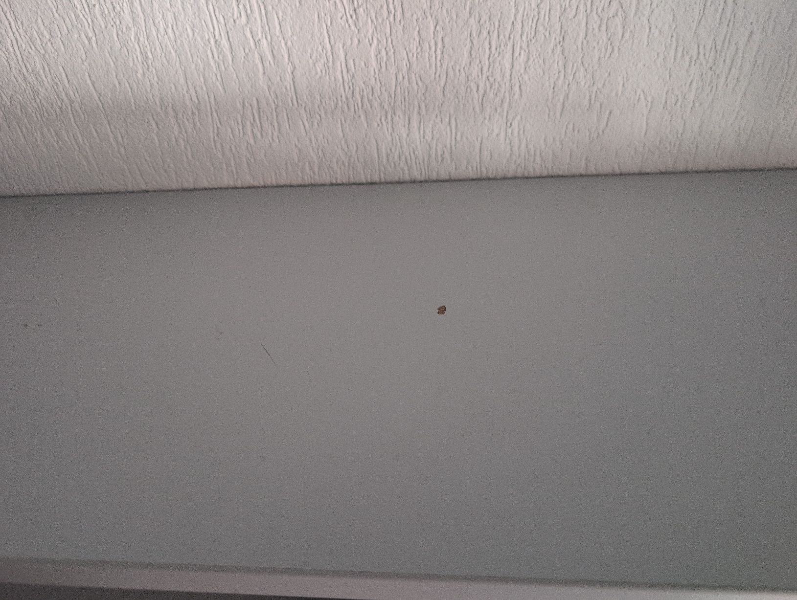 Armadi: Büro Möbel Schrank 2-Teilig – Usato da Einsiedeln venduto da Tooobias 3