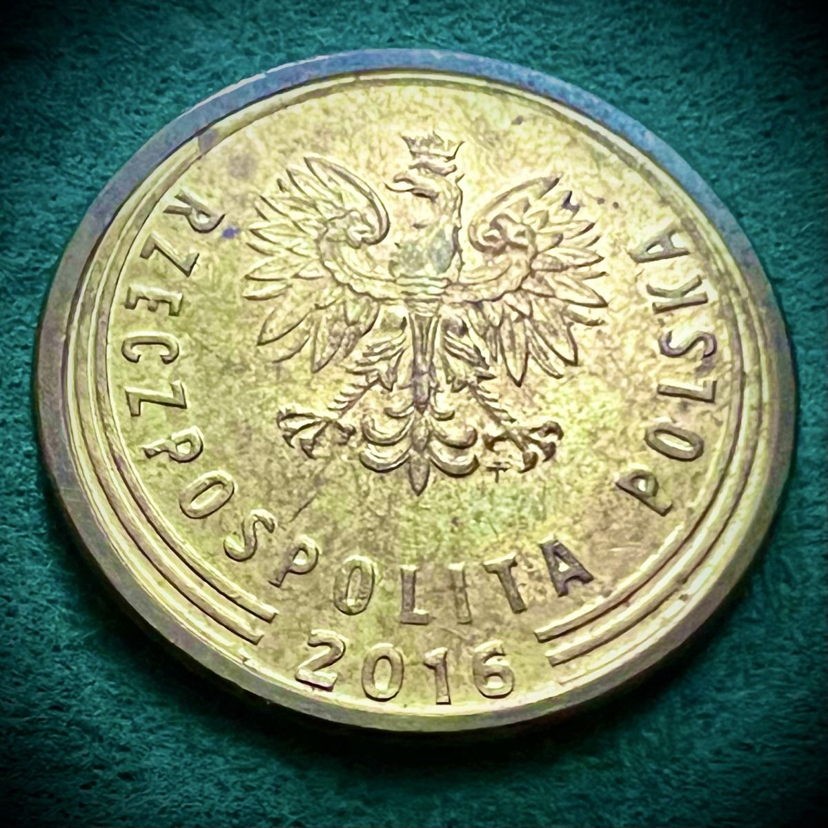 Tutti le monete: 5 GROSZY 2016 POLEN – Usato da Gossau SG venduto da NUMOPOL