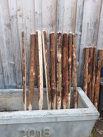 Holzpfahl, Pflock, Stickel, Mast, Pfoste