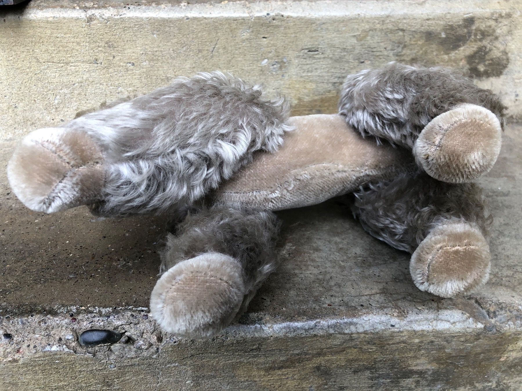 Figuren: Königspudel hund alt beweglich Steiff – Gebraucht aus Reinach AG von rares75 4