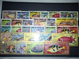 Lot Motive Fische UMM AL QIWAIN
