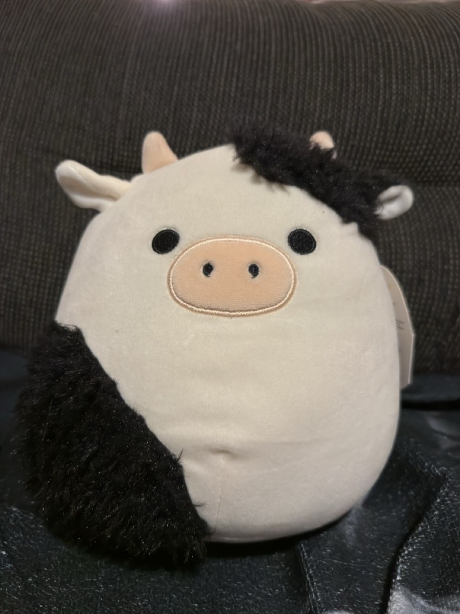 Squishmallows Giocattoli: Squishmallow Connor – Nuovo (secondo la descrizione) da St. Gallen venduto da jennu7
