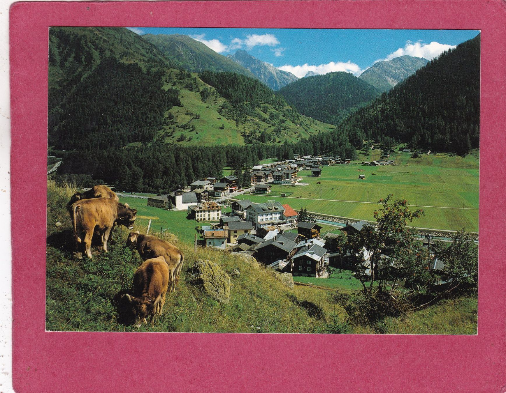 Cartoline postali: Oberwald Kühe 1990 – Usato da Herisau venduto da Lisegrat2008