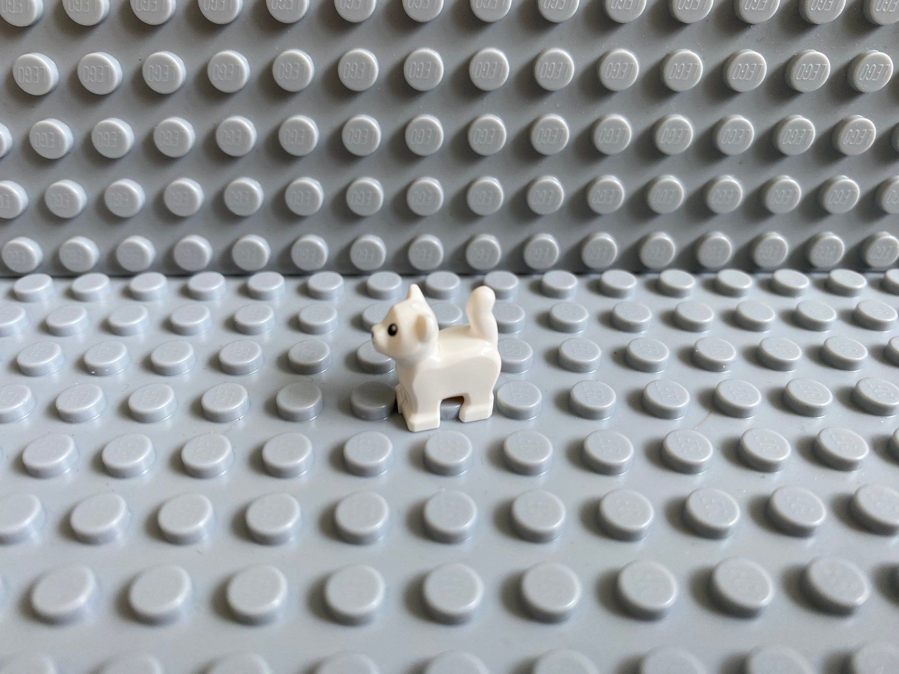 Lego Baukästen: Lego Tiere - Katze Baby – Neu (gemäss Beschreibung) aus Horw von G39517sG 1