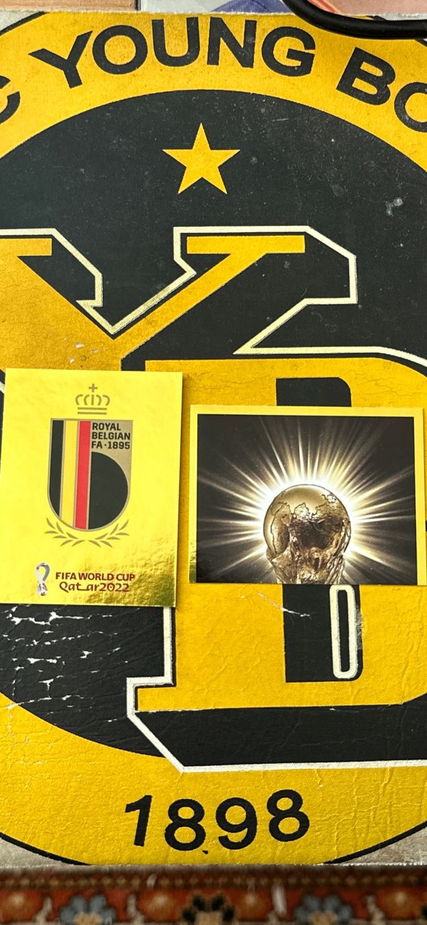 Panini Sammelbilder & Trading cards: Panini Bilder BEL2 FWC 2 WM Pokal – Neu (gemäss Beschreibung) aus Köniz von RetroBoy89