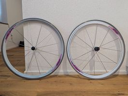 Campagnolo Shamal 12-HPW Laufradsatz 8-fach Clincher Vintage