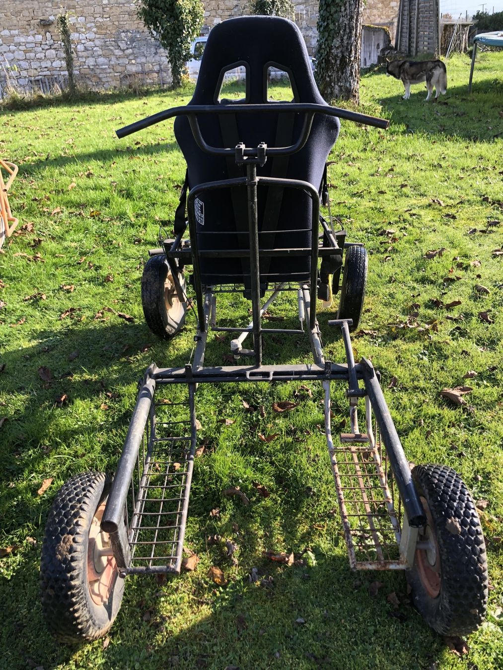 Go-Kart: KART 4 roues pour attelage de chiens  – Usato da Bernex venduto da jer_jn2q 1