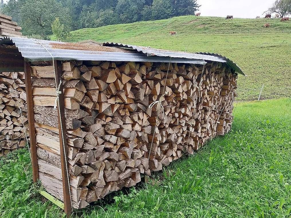 Articoli in legno:   Brennholz/Chemineeholz 33cm – Usato da Schachen LU venduto da Zuki-336 2