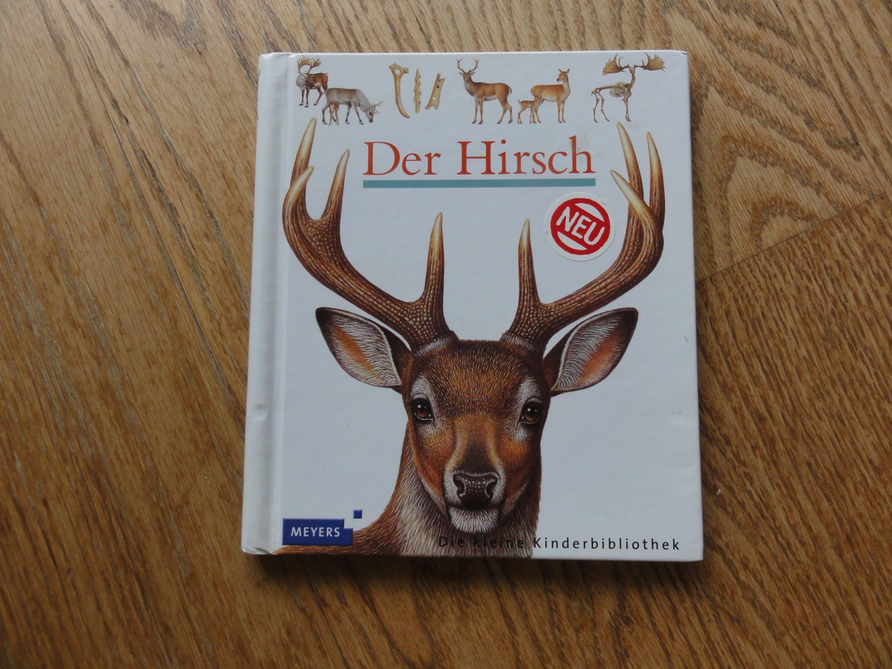 Libri: Der Hirsch – Usato da Riedholz venduto da Taweva