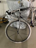 Velo