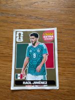 Raúl Jiménez gold