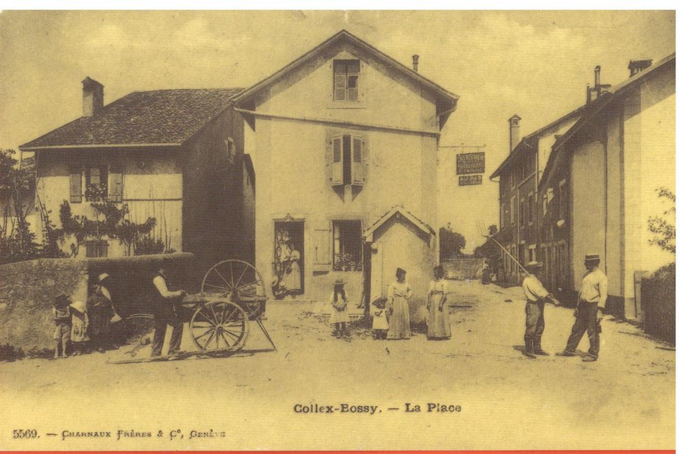 COLLEXBOSSY LA PLACE TRES ANIMEE AVEC BROYEUR Kaufen auf Ricardo