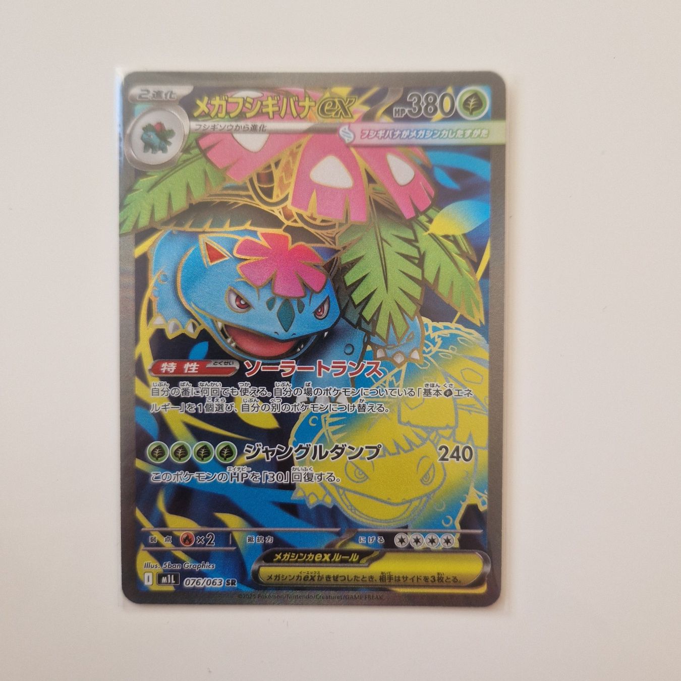 Pokémon Carte collezionabili: Mega Vensaur Ex SAR 076/063 - Mega Brave - JPN – Nuovo (secondo la descrizione) da Brugg AG venduto da Sasch09 1