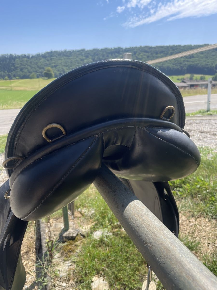 Selle & Accessori: Rancher Sattel  Spyrig – Usato da Mönthal venduto da Akirebi66 3