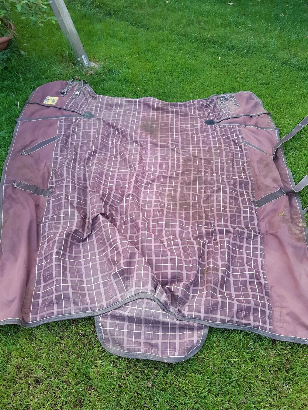 Coperte: winterdecke 155cm – Usato da Nebikon venduto da Haidihooo 2
