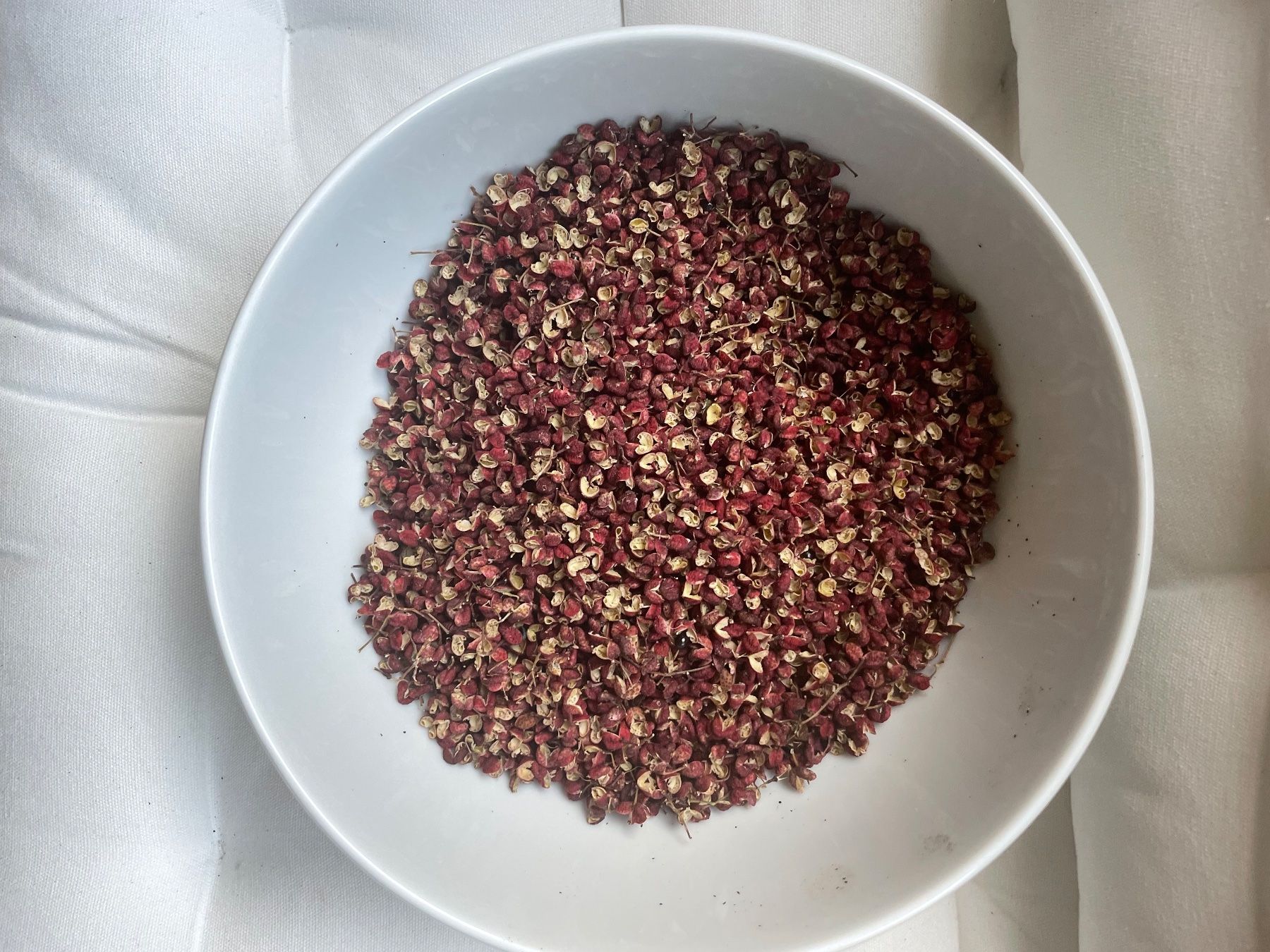 Plantes & graines: szechuan Pfeffer Samen – D'occasion à Bern par Csaxo 5
