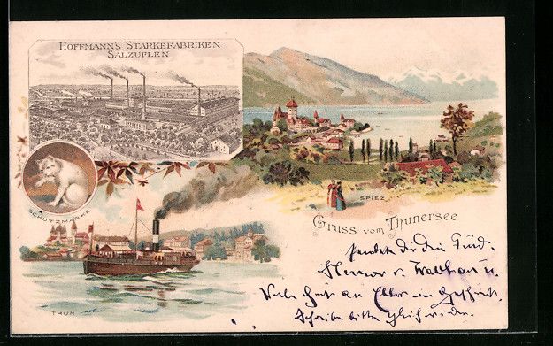Ansichtskarten: Litho Spiez, Totalansicht mit Thunersee, – Gebraucht aus Berlin von bartko-reher