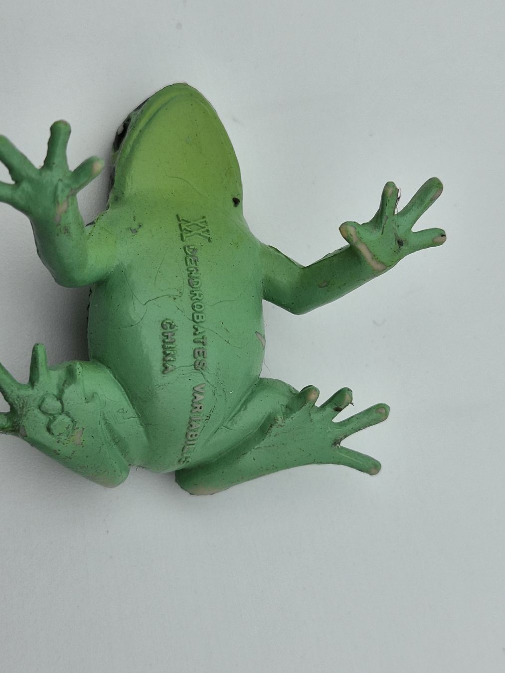 Statuette: PAPO Frosch Dendrobates Variabilis Spielfigur – Usato da Oberneunforn venduto da inf_hs8z 2