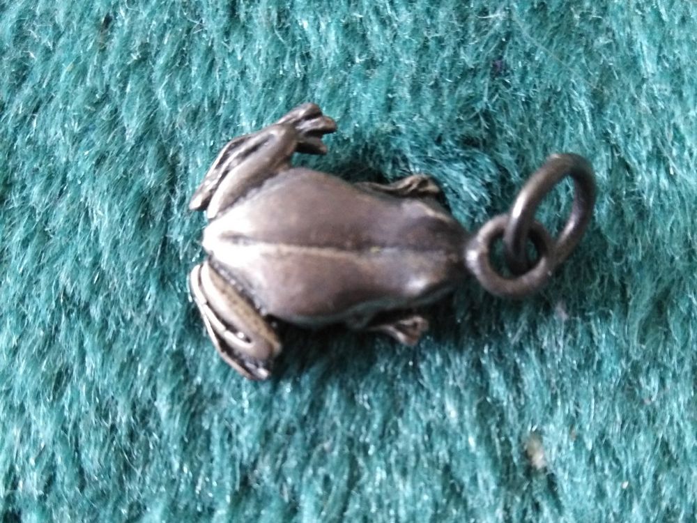 Mini Frosch Anhänger Ohne Kette Heartbreaker By Drachenfels LD