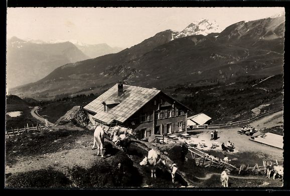 Cartoline postali: Grindelwald, Gr, Scheidegg g, Faulhorn – Usato da Berlin venduto da bartko-reher