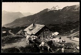 Grindelwald, Gr, Scheidegg g, Faulhorn