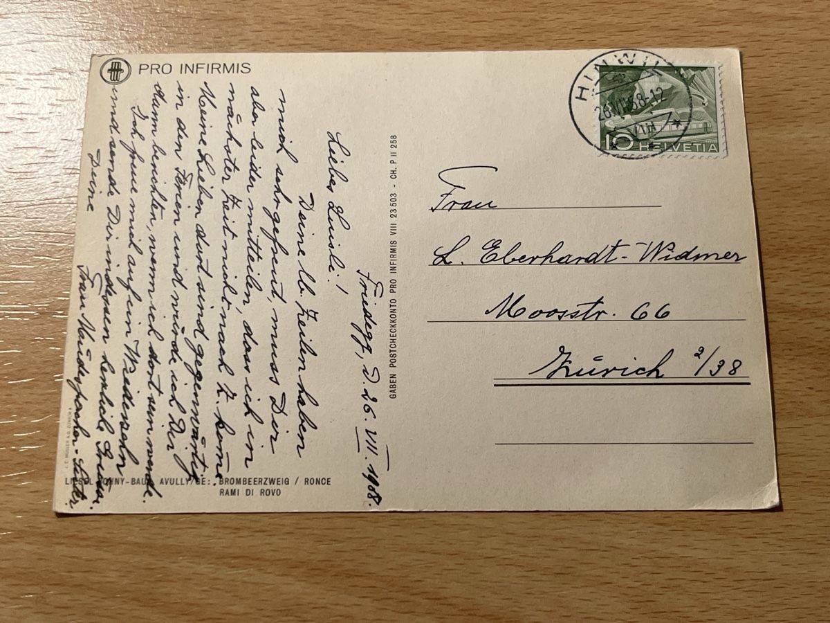 Cartoline postali: Alte Ansichtskarte Brombeerzweig, ungebraucht, 1908. Top! – Usato da Hinwil venduto da Chuan2 1